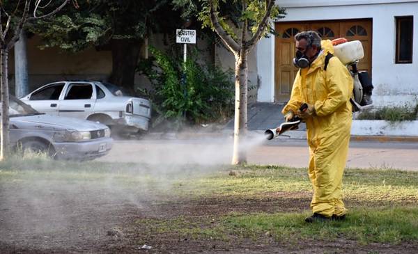 El Municipio intensifica las tareas de fumigación y desinfección en la ...