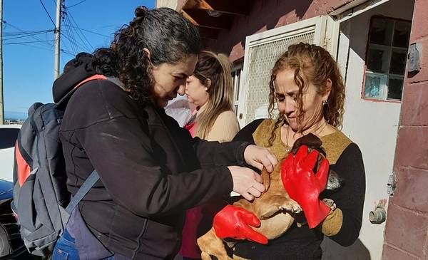 Salud refuerza recomendaciones para prevenir la rabia ante caso ...
