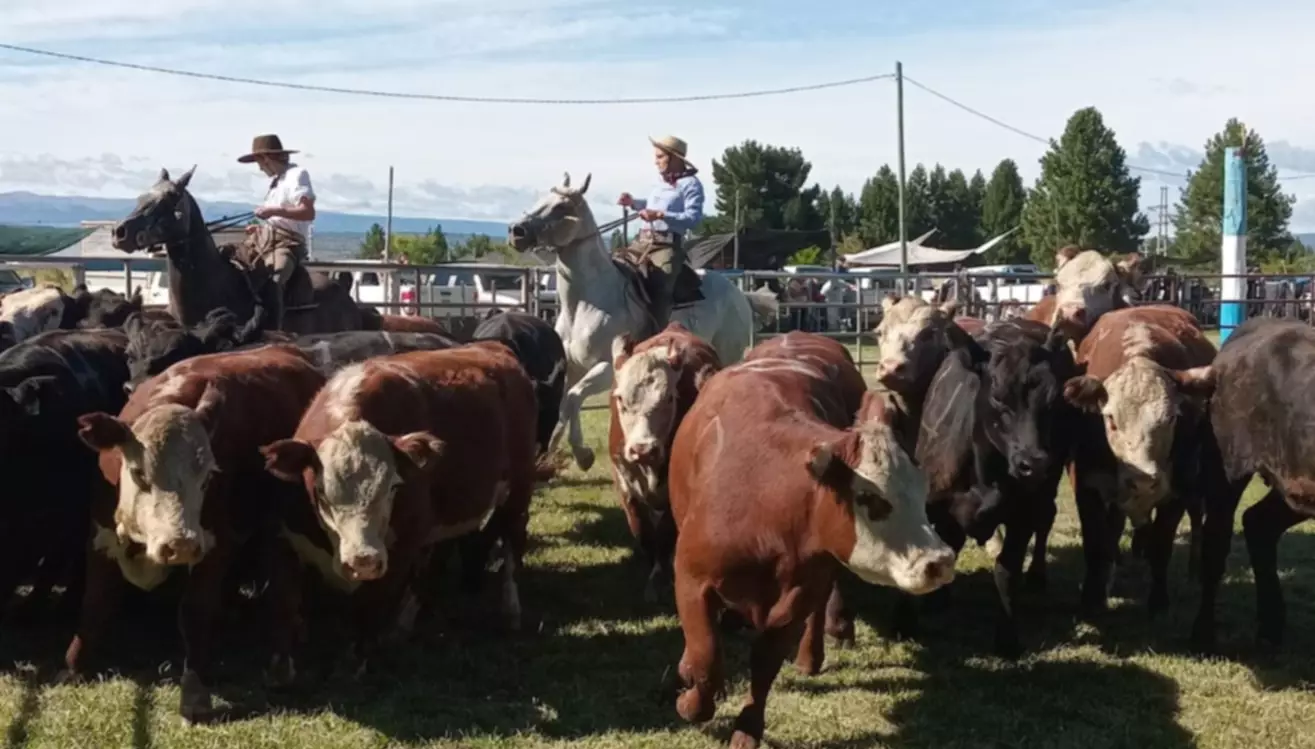 Trevelin celebra la 15ª edición de la Fiesta del Ternero Cordillerano