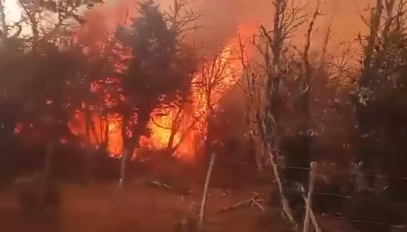 "¡Salgan! ¡Salgan!": Brigadistas quedaron encerrados por el fuego "¡Salgan! ¡Salgan!": Brigadistas quedaron encerrados por el fuego