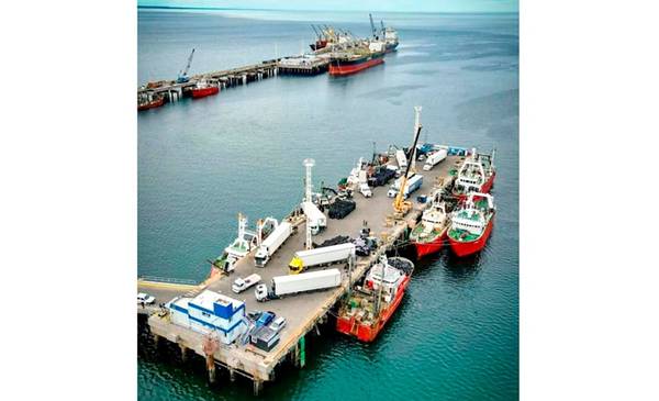 El puerto de Madryn sostuvo niveles históricos de actividad pese a la ...
