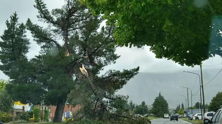 Corte de luz, voladura de techos y caída de árboles dejó el temporal de ...