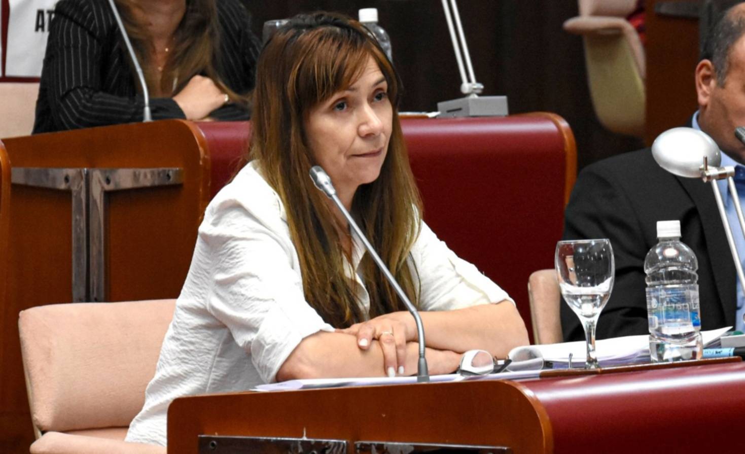 Toro respondi&oacute; a Treffinger: "no puede desconocer que trabajamos para LLA  en Chubut" - &Uacute;ltimas Noticias: El Chubut