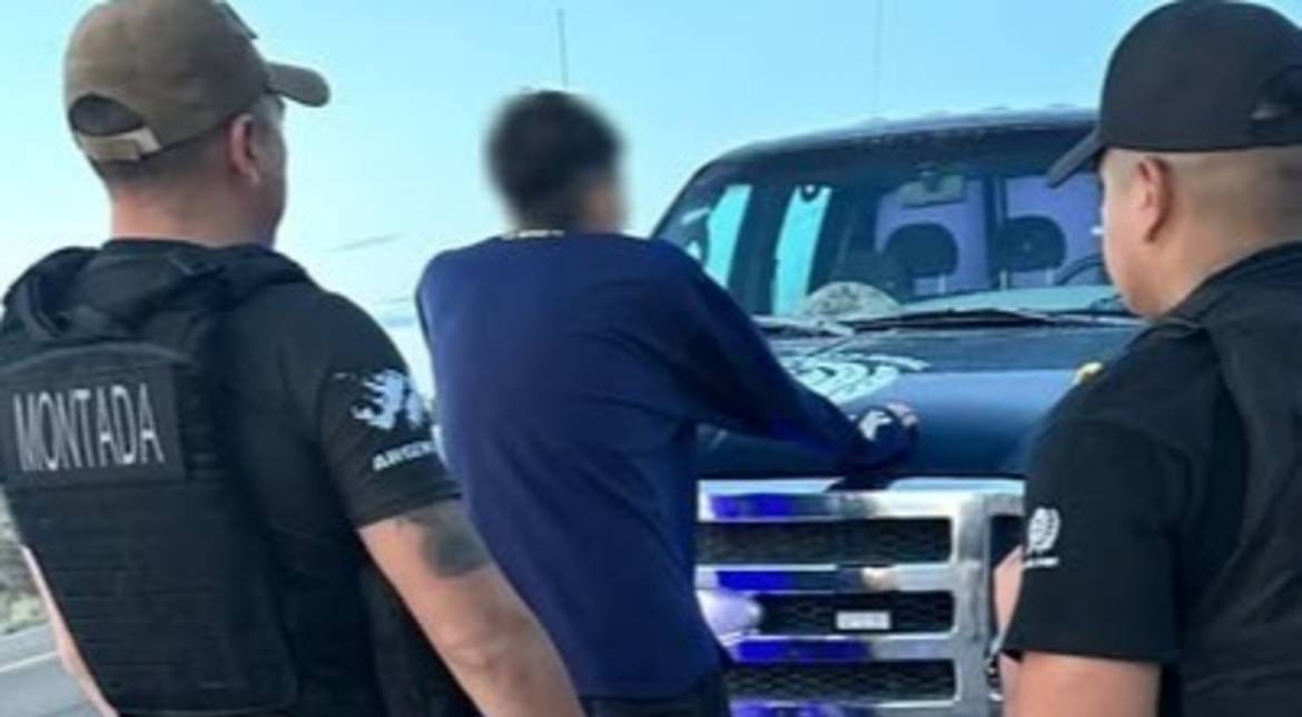 Robó una oveja de una estancia y terminó detenido tras un rastrillaje policial