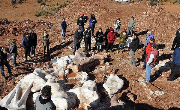 Descubrieron el dinosaurio más grande del mundo en un campo de la meseta chubutense - Últimas Noticias: El Chubut
