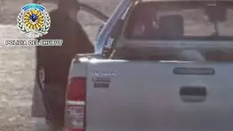 Secuestran carne de guanaco y armas de fuego en control rural cerca de Comodoro Rivadavia
