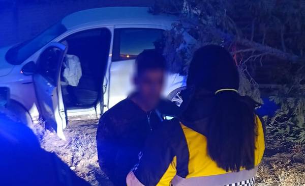 Conductor ebrio intentó escaparse de un control y chocó contra un árbol ...
