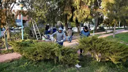 El Municipio recuerda el protocolo para podas en cercanía de cables