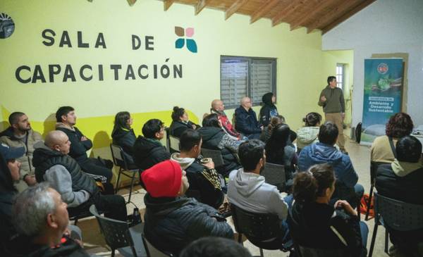 Municipio y el INTA brindarán un taller de estaquero forestal sobre álamos y sauces