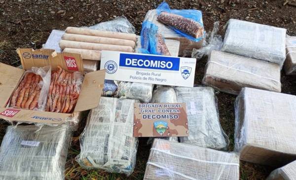 Intentó trasladar 120 kilos de pescado desde Puerto Madryn hacia Buenos Aires