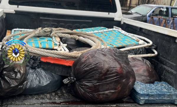 Decomisan gran cantidad de carne de guanaco en un operativo policial sobre la Ruta 25