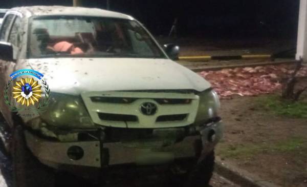 Cazadores fueron sorprendidos con un puma y decenas de piezas de guanaco en la Ruta Nacional 3 - Últimas Noticias: El Chubut