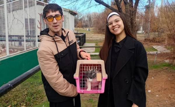 La Municipalidad de Rawson continúa con la campaña de animales rescatados