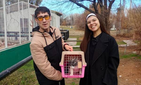 Continúa campaña de adopción responsable de animales rescatados - Últimas Noticias: El Chubut