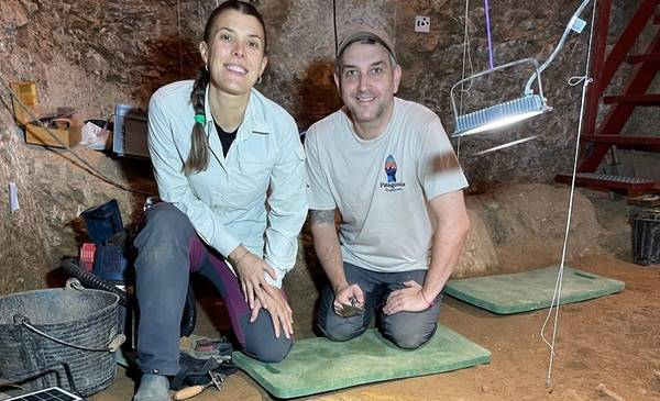 Investigadores asociados al IDEAus-CONICET integran el equipo que descubrió restos únicos de rinocerontes de 200.000 años en España