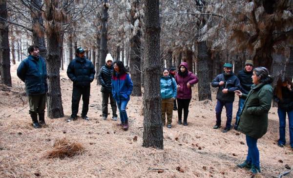 Esquel abrió la convocatoria para el Programa Piloto de Manejo de Bosques Comunales