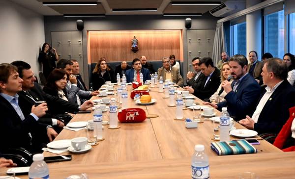 Merino presentó las oportunidades de inversión de Trelew ante la Cámara de Comercio Suizo-Argentina y la Cancillería
