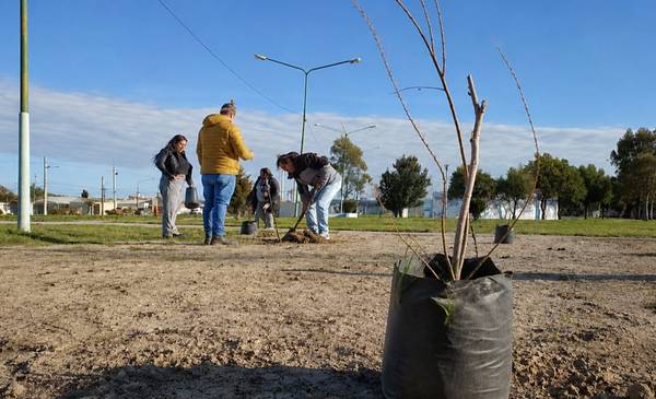 Rawson inició la semana del árbol con una jornada de plantación