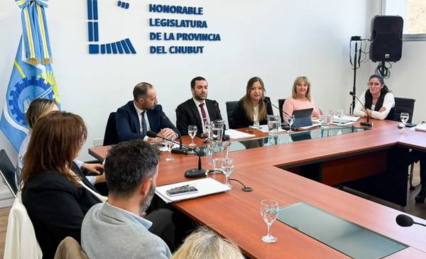 Legislatura inició las reuniones informativas para generar un nuevo Código General de los Procesos no Penales