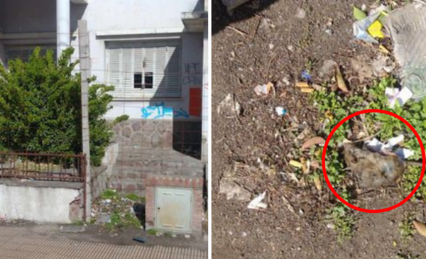 Vecinos cansados por plaga de ratas en una casa abandonada de Trelew ...