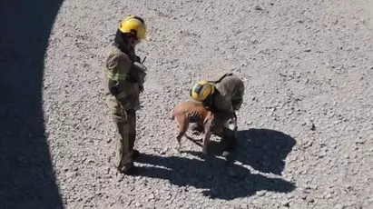 Bomberos de Trelew rescataron a un perro que cayó a un tanque vacío