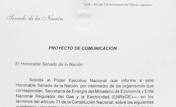 Linares y Luque presentaron pedido de informes a Nación por las tarifas de gas en Chubut