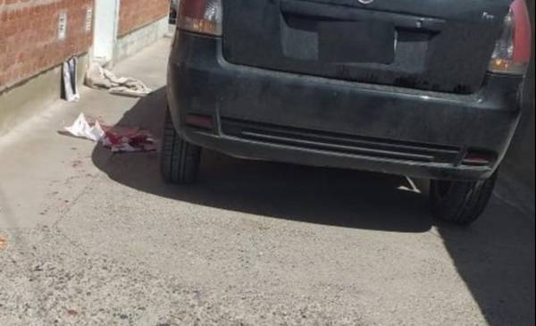 Pequeña de 6 años murió tras ser atropellada por su mamá que no ...