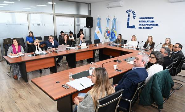 Finalizaron las reuniones informativas por el Código General de los Procesos no Penales - Últimas Noticias: El Chubut