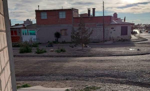 Apam advierte que muchas personas abandonan perros en el barrio San Miguel - Últimas Noticias: El Chubut
