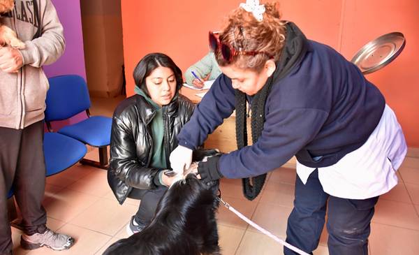 El Municipio continúa con la atención de la salud animal en distintos barrios - Últimas Noticias: El Chubut