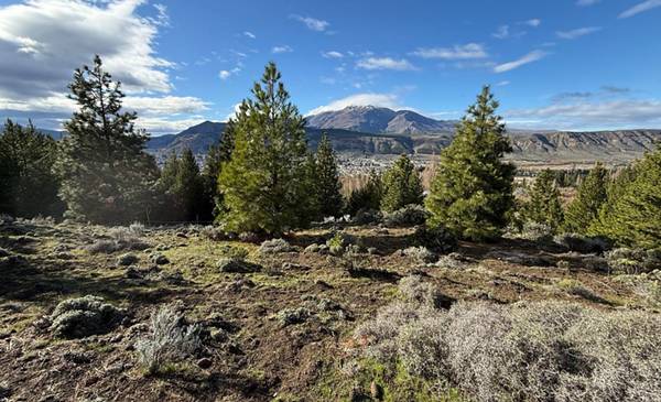 El municipio avanza en la puesta en valor del Parque Botánico como reserva natural urbana - Últimas Noticias: El Chubut