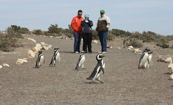 Chubut recibió más de 24 mil turistas durante el fin de semana largo - Últimas Noticias: El Chubut