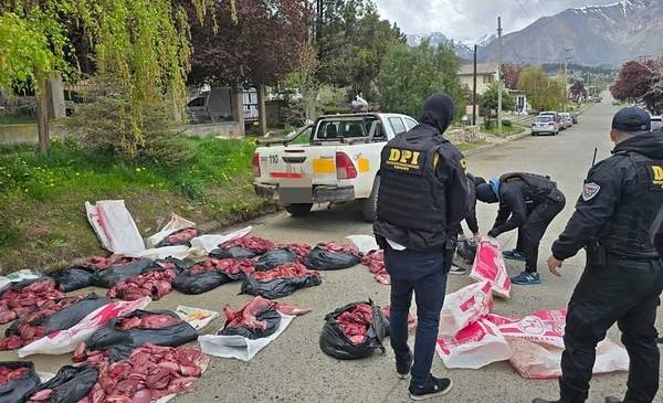 En operativo, secuestran carne de guanaco y puma en mal estado de conservación en Esquel - Últimas Noticias: El Chubut