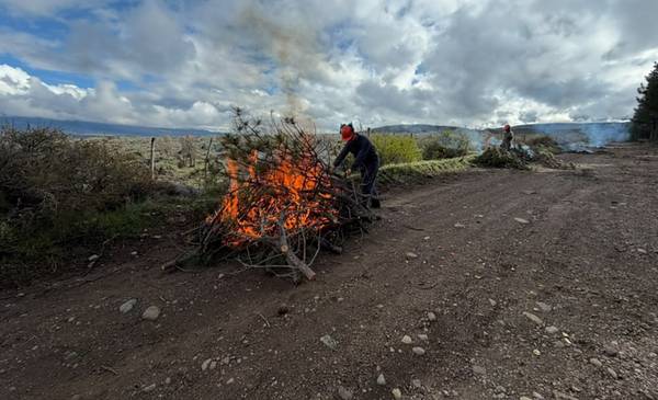 Refuerzan la prevención de incendios con trabajos de poda, y limpieza en zonas de interfase - Últimas Noticias: El Chubut