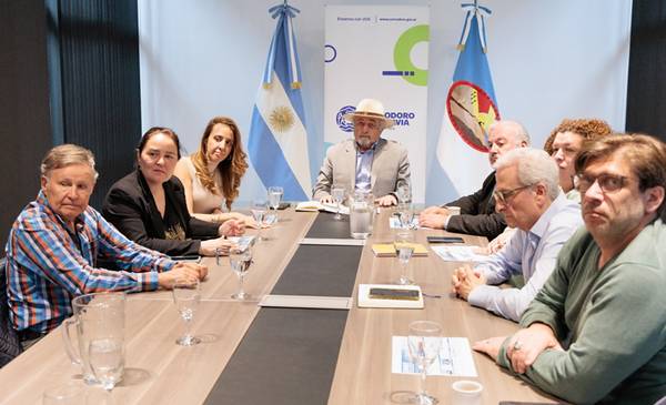 Macharashvili recibió una propuesta para impulsar el hidrógeno verde - Últimas Noticias: El Chubut
