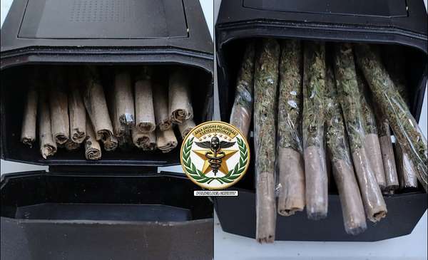 Investigaban presunta venta de drogas cerca de una escuela de Madryn: secuestraron cannabis y dinero - Últimas Noticias: El Chubut
