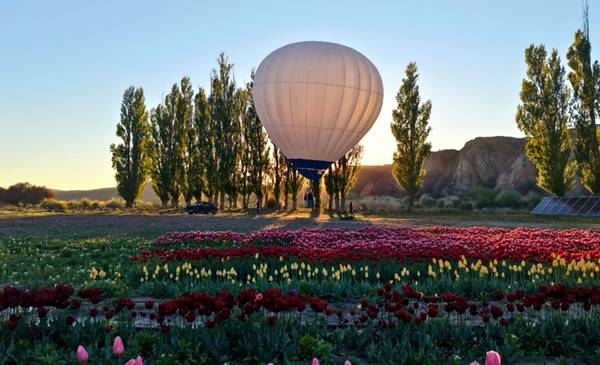 Un globo aerostático sobrevoló por primera vez los Tulipanes de 28 de Julio