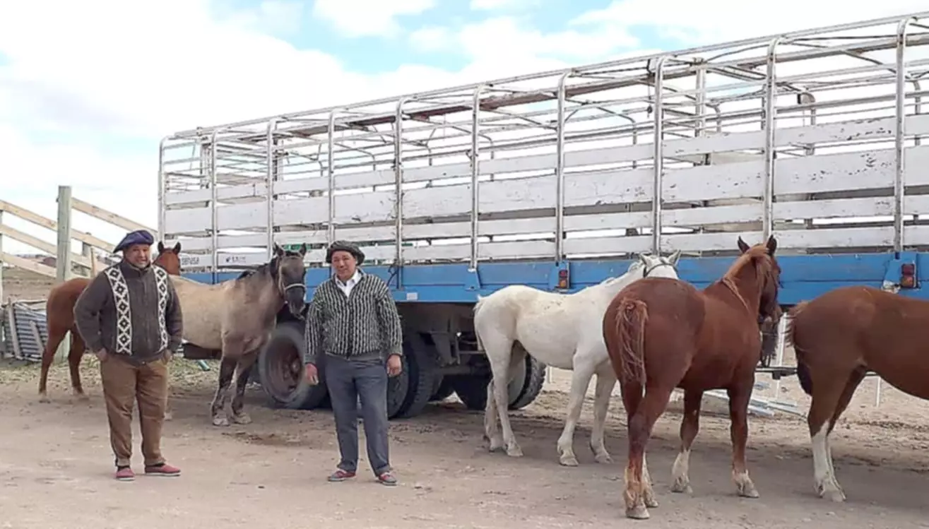 En Gastre se realizará la 1era Fiesta de la Tropilla "La Rosita" En Gastre se realizará la 1era Fiesta de la Tropilla "La Rosita"