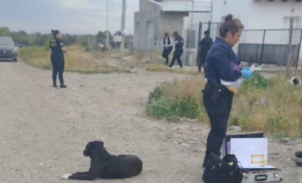 Un hombre fue hospitalizado tras ser hallado con una herida de arma ...