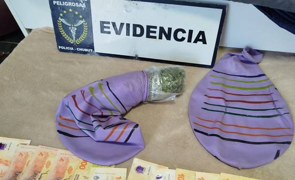 Operación "Flor de Globo": 4 allanamientos en Esquel y El Bolsón por ...